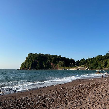 Seaview At No. 26 Northumberland Place Teignmouth Eksteriør billede